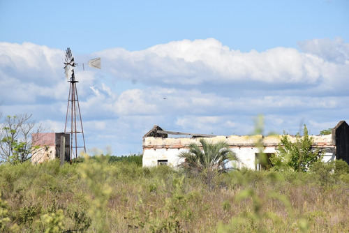 Imagen 3 de 12 de Campo De 50 Has En Zona De Osvaldo Magnasco