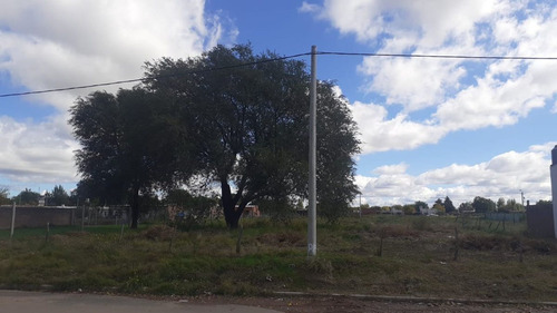 Terreno Calle P. Donatti Entre Callaqueo Y Pincen