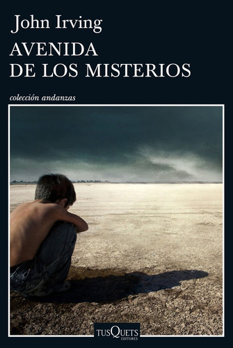 Avenida De Los Misterios - John Irving