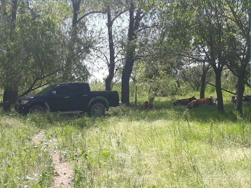 Imagen 4 de 15 de 18 Hectareas En Villa Paranacito Ideal Ganadero O Plantacion
