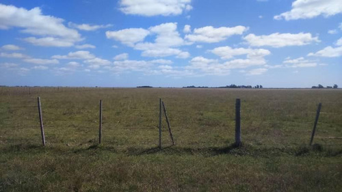 Imagen 6 de 8 de Campo - Punta Indio
