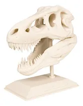 Comprar Tiranosaurio Rex - Craneo Y Base Elaborado Por Impresión 3d