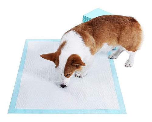 Imagen 6 de 10 de Pack 100 Pañales Sabanillas Grande Para Mascotas 60*60 Cm