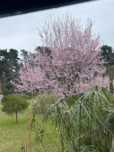Imagen 30 de 30 de Alquiler Tandil Casa Quinta Noviembre 5 Días A Precio De 4!
