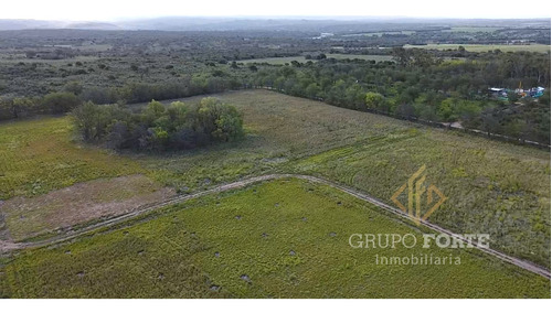 Imagen 28 de 29 de Lotes En Quillinzo
