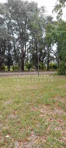 Terreno Lote En Venta En El Cardal, Campana, G.b.a. Zona Norte