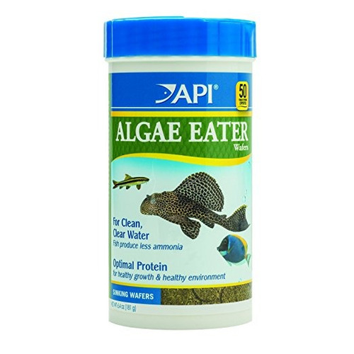 Api Se Alimenta De Algas Las Algas Wafers Oblea Fish Food