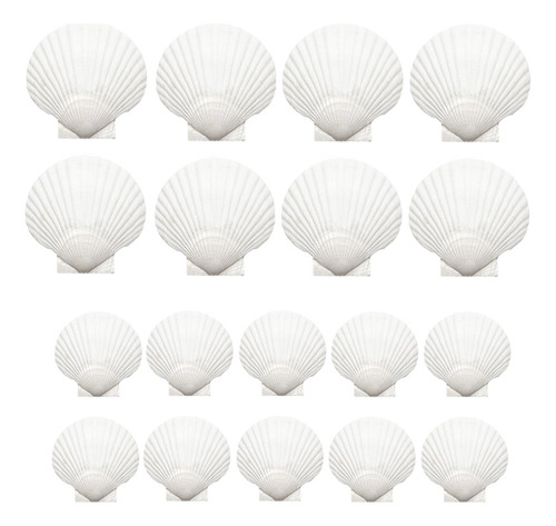18 Conchas De Vieira Naturales, Conchas Marinas Blancas A Gr