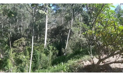 Lote En Venta En Rionegro, Sector De Llanogrande