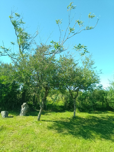 Los Mirasoles Alojamiento.. Un Lugar Para Relax.