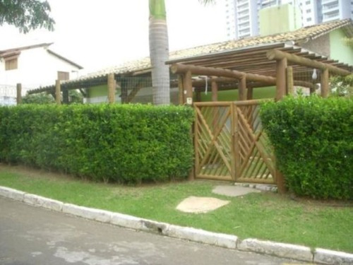 150 Mudas Murta 15cm Muro Verde P/ Casas Sitios Chacaras