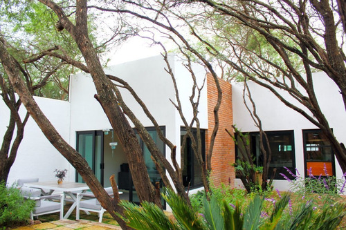Imagen 6 de 30 de La Casa De Los Arboles Grandes En Venta, Fracc. Villa De Los