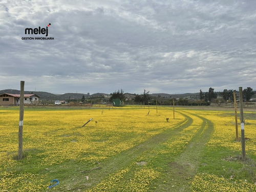 Venta Terreno En Los Laureles, Limache