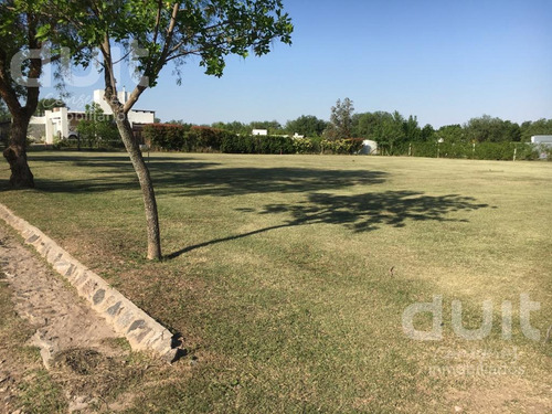 Imagen 5 de 8 de Terreno - Causana