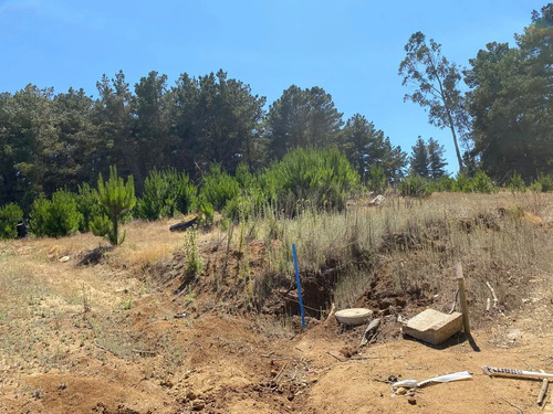 Terreno Pichilemu Hermosa Vista