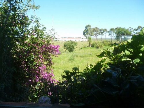 Imagen 12 de 17 de Chacra En Punta Del Este - Zona Jose Ignacio