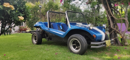 Buggy Puelche
