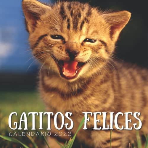 Gatitos Felices Calendario 2022: Calendario 12 Meses 2022 -