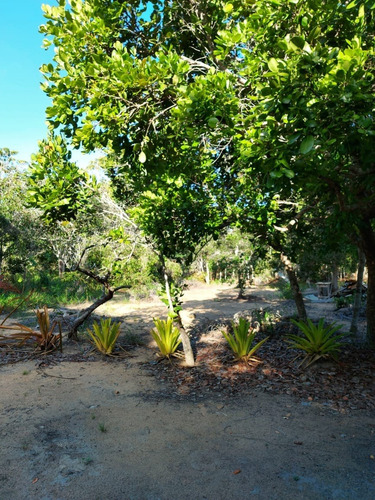 Imagem 16 de 23 de Terreno À Venda Em Arraial D'ajuda - Porto Seguro, Terreno Plano Com Área Limpa Pronta Para Construção, Ponto De Água, Energia, Área De Lazer E Playground