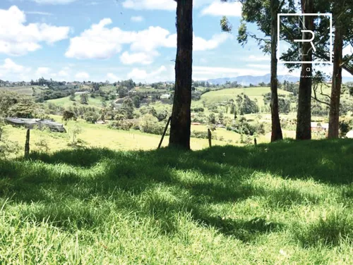 Lote En Venta En Rionegro. Cod V775995