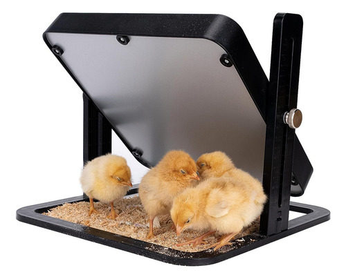 Plato Brooder Brooder Chicken Constant Para Pollos De Gallin