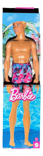 Muñeco Ken Barbie Playa Con Malla Mattel
