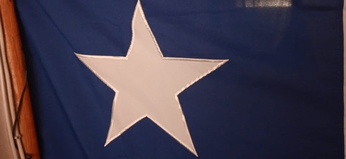 Imagen 1 de 5 de Bandera Chilena 90 X 135