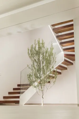 Casa Nueva En Venta De Autor Fracc Nuevo Refugio Roof Garden