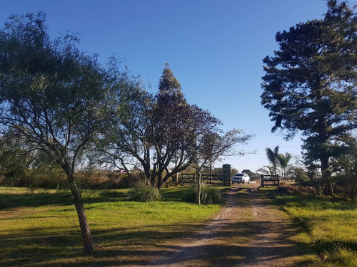 Imagen 13 de 18 de Fincas Del Río Lote N° 6 De 850 M2 Cayastá