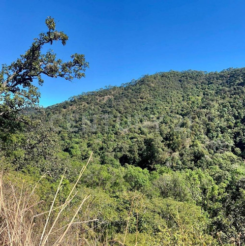 Terreno En Venta En San Sebastian Del Oeste
