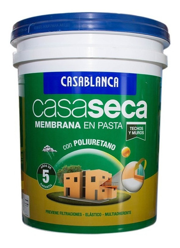 Membrana En Pasta Con Poliuretano Casaseca Cemento 20 Lts 