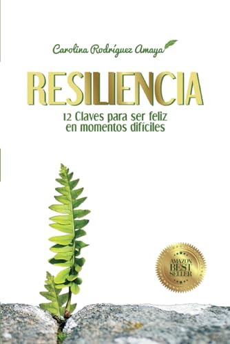 Resiliencia: 12 Claves Para Ser Feliz En Momentos Difíciles