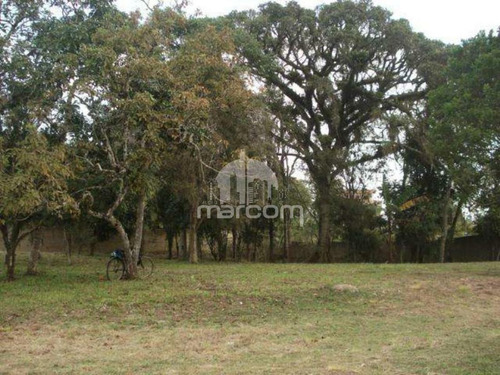 Imagem 7 de 10 de Excelente Terreno - Mte-074