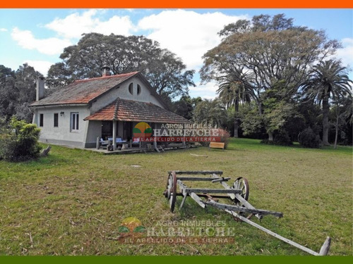 Campo, 69 Has, Las Brujas Con Costa Al Rio Santa Lucia, Casco, Varias Construcciones