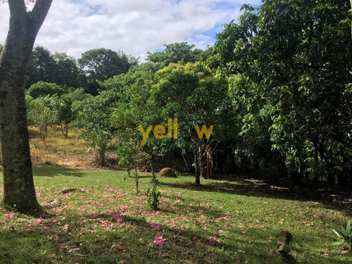 Imagem 15 de 18 de Terreno - Jardim Aracy - Te-1614