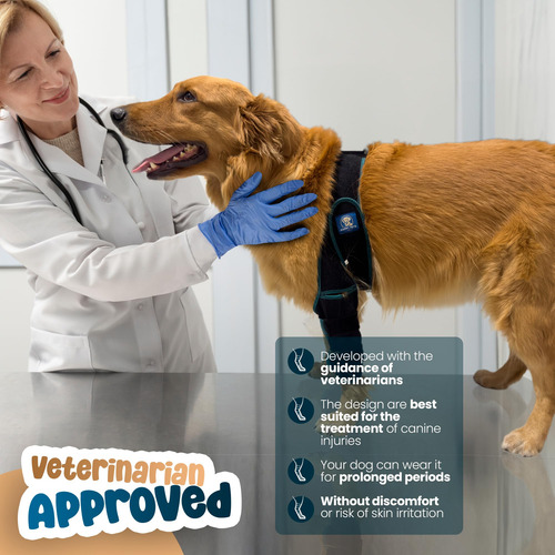 Joelheira Para Cães Happy Pets Co Ajustável Para Ligamento C