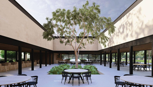 Lotes Residenciales En Venta Casa Kokob Ubicados En Tixkokob, Yucatán.