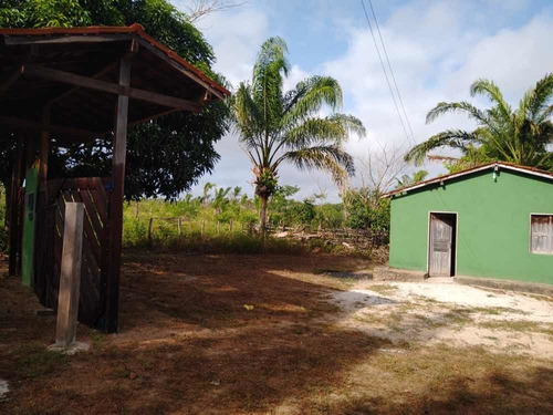 Imagem 5 de 8 de Vendo Terra Produtiva Com Água Corrente