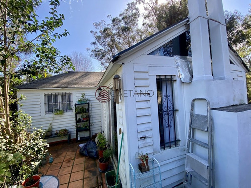 Imagen 18 de 20 de Excelente Casa Con Mucho Potencial - Punta Del Este Jardines De Cordoba