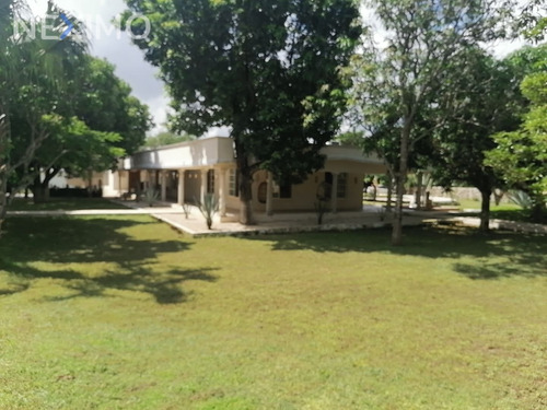 Imagen 19 de 30 de Casa En Venta De Un Piso En Cholul Mérida, Yucatán Con Grandes Jardines Y Alberca