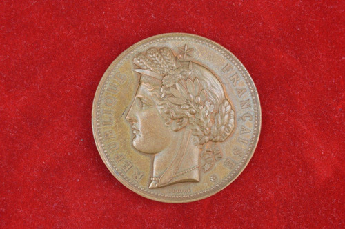 Medalla Del Centenario De La Revolución Francesa, De Cobre.