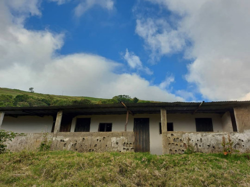 Imagen 1 de 21 de N.m. En Venta Finca En La Grita 1.500$ La Hectárea