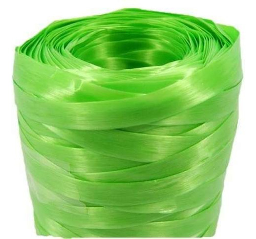 Fitilho Decorativo Embrulho Presente 5mmx50m Verde Clarc/10 Cor Verde-claro