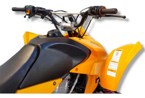 Imagen 8 de 10 de Blackstone 300s 4v Modelo 2011
