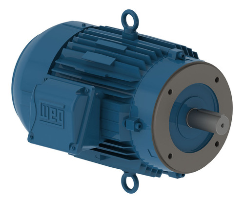 Motor Elétrico Weg Trifásico 0,33cv 220/380-440 4 Polos B14d