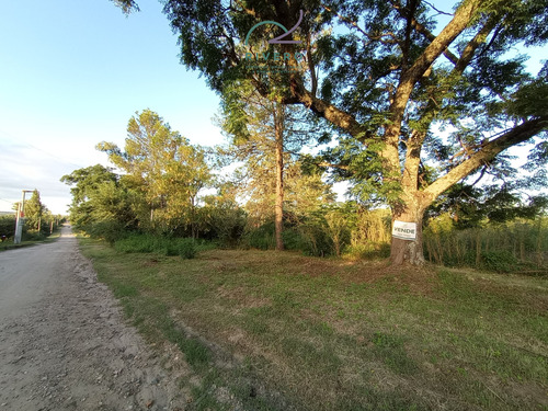 Se Vende Lote En Cordoba
