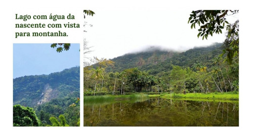 Imagem 6 de 15 de Chácara Venda Ubatuba - Sp - Bairro Cambuca - 2632