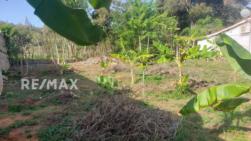 Re/max 2mil Vende Terreno En Caserío Espinoza, Atamo Sur, Mun. Arismendi, Isla De Margarita, Edo. Nueva Esparta