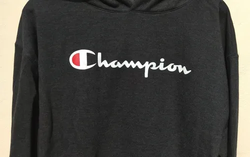 Champion sweater 2025 original gratis