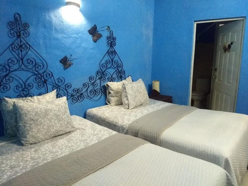 Imagen 5 de 12 de Casa Sola En Renta Merida Centro